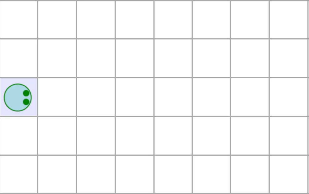 The character on the maze grid, ready to walk five steps forward